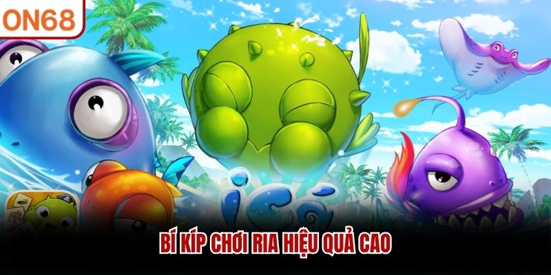 Bí kíp chơi ria hiệu quả cao