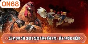 Đá Gà Cựa Sắt ON68 | Cược Căng Đỉnh Cao - Săn Thưởng Khủng