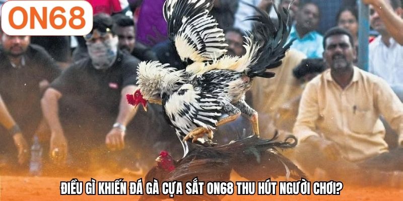 Điều gì khiến đá gà cựa sắt ON68 thu hút người chơi?