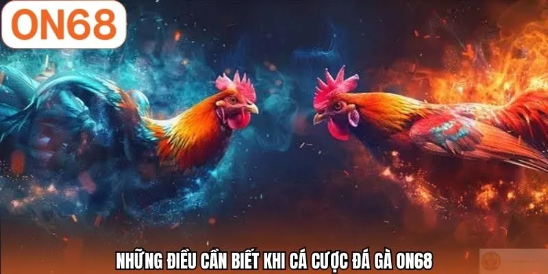 Những điều cần biết khi cá cược đá gà ON68